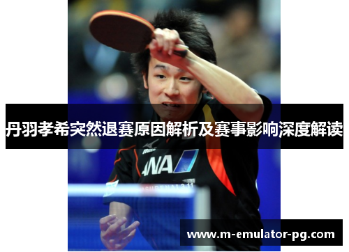 丹羽孝希突然退赛原因解析及赛事影响深度解读