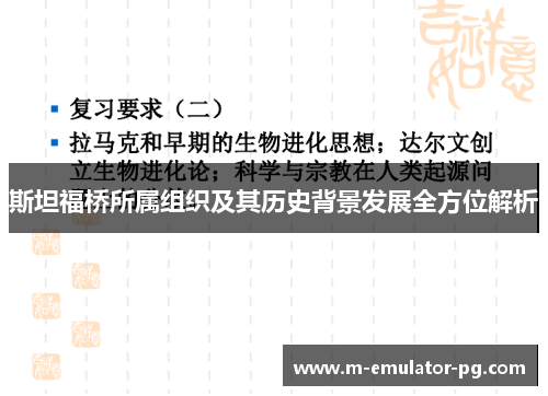 斯坦福桥所属组织及其历史背景发展全方位解析