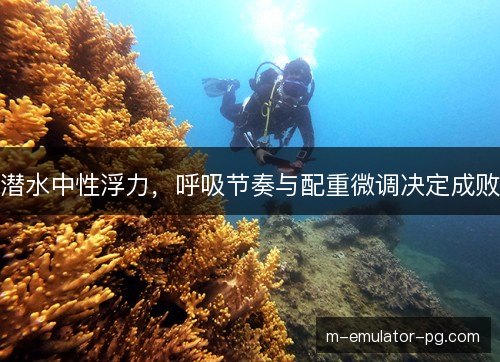 潜水中性浮力,呼吸节奏与配重微调决定成败 潜水中性浮力,呼吸节奏与配重微调决定成败